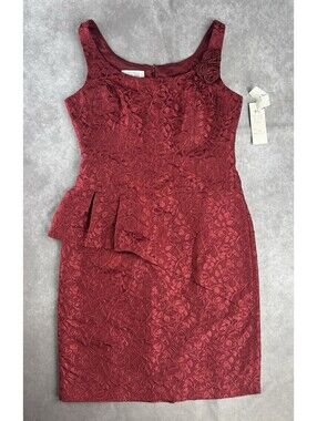 Rickie Freeman Teri Jon Women’s Scoop Neck Lined Lace Mini Sleeveless Dress SZ 8